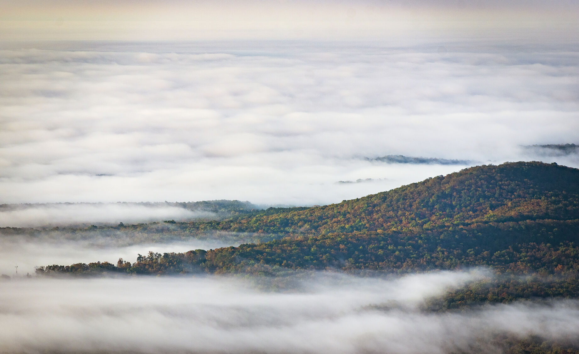 Fog